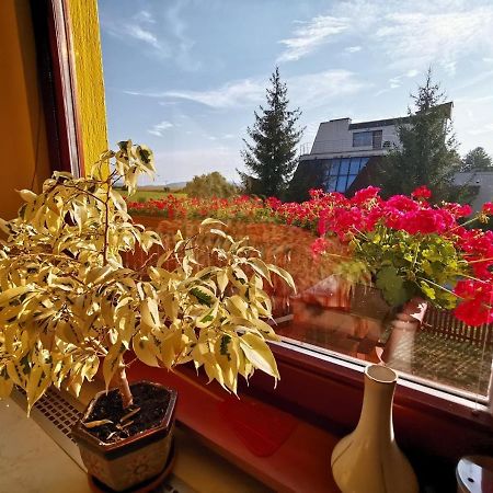 Apartman Adrianka Turčianske Teplice 외부 사진
