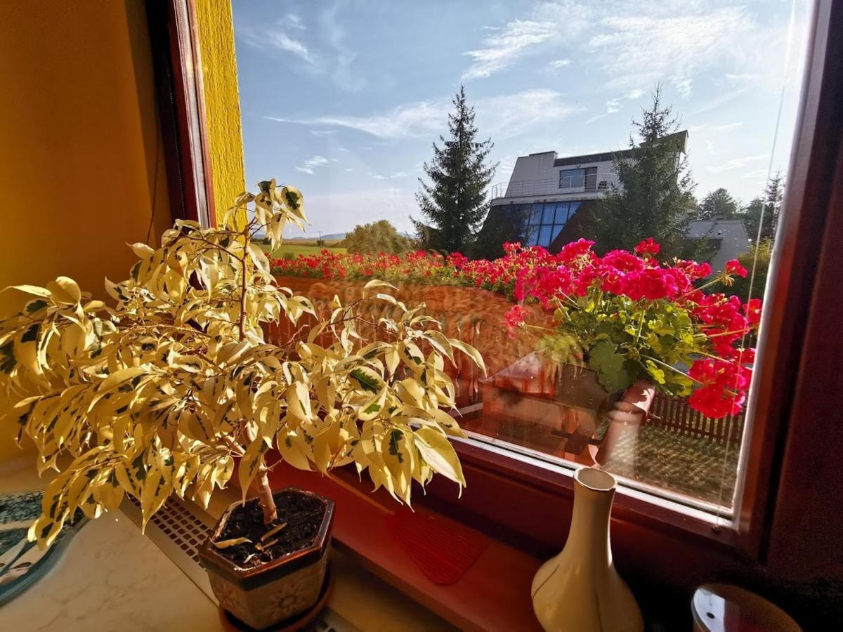 Apartman Adrianka Turčianske Teplice 외부 사진
